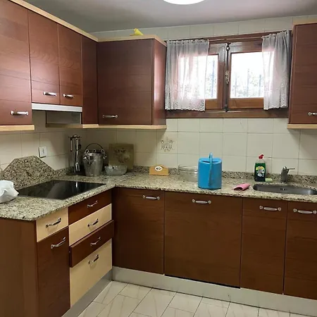 Tempranillo In Rioja Alavesa *